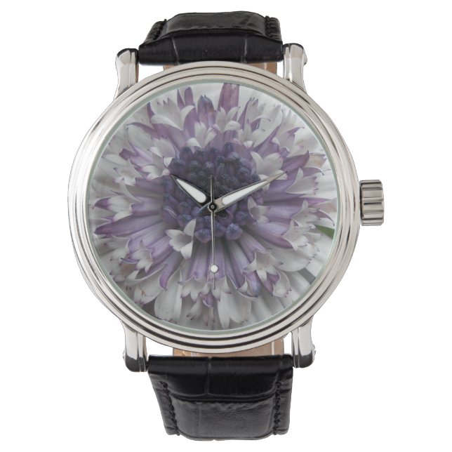 Montre Brett (devant)