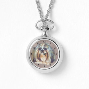 Montre Brindle et Chih blanc Tzu Chig
