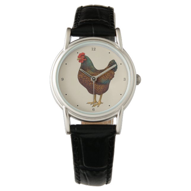 Montre Brown Barnevelder Hen Chicken (devant)