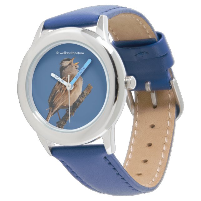Montre Bruant à tête blanche chante au soleil (Incliné)