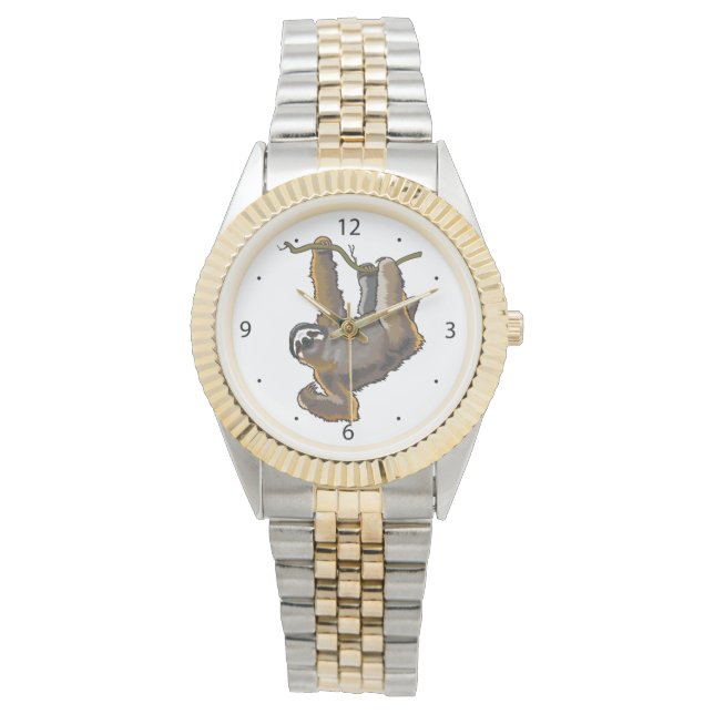 montre brune à paresse à trois doigts (devant)