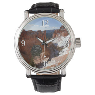Montre Bryce Canyon Pont naturel Paysage neigeux Photo