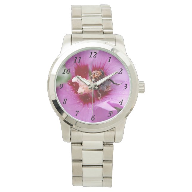 Montre Bumblebebe sur la fleur d'Hibiscus (devant)
