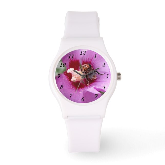Montre Bumblebebe sur la fleur d'Hibiscus (Recto)