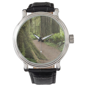 Montre CA, Jedediah Smith State Park, Simpson-Reed