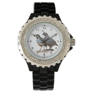 MONTRE CAILLES DE CALIFORNIE