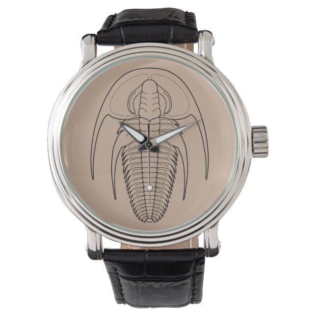 Montre Cambrian trilobite Fallotaspis longa (devant)