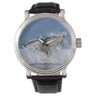 Montre Canada, Colombie-Britannique, île de Vancouver,