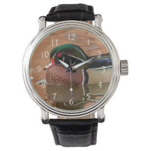 Montre Canard branchu nageant dans l'eau