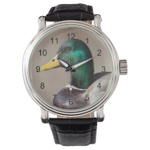 Montre Canard colvert