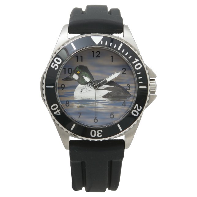 Montre Canard de l'oeil d'or mâle (devant)