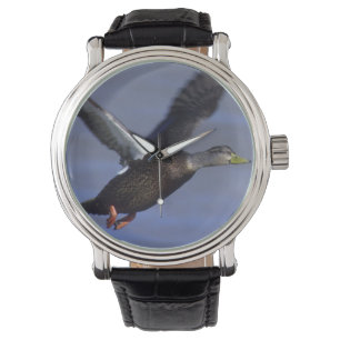Montre Canard noir