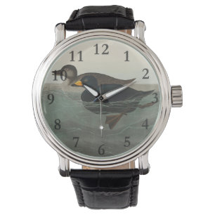 Montre Canard router américain Audubon