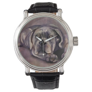 Montre Cane Corso - Chiot Mastiff italien