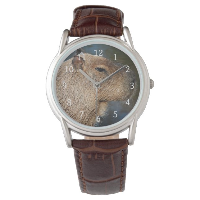 Montre Capybara (devant)