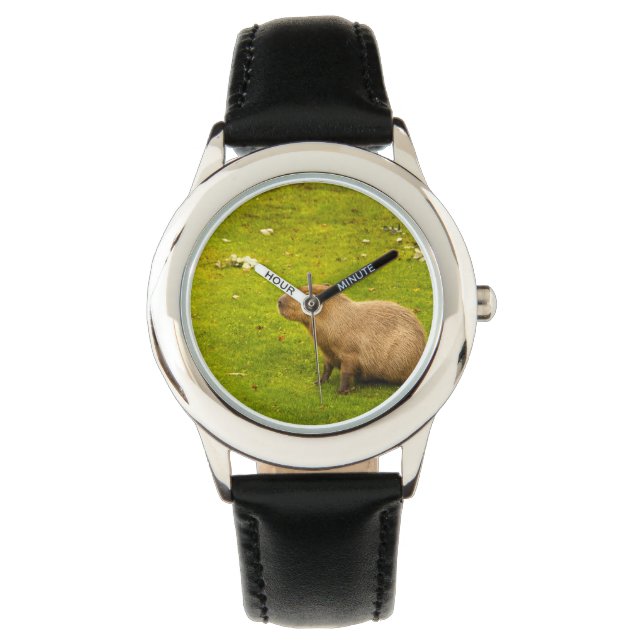 Montre Capybara (devant)