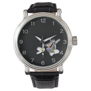 Montre Cardamine Pratensis Fleurs blanches Nombres wacnm