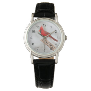 Montre Cardinal du Nord sur une branche