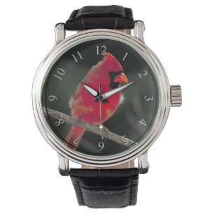 Montre Cardinal rouge perché sur une branche d'arbre