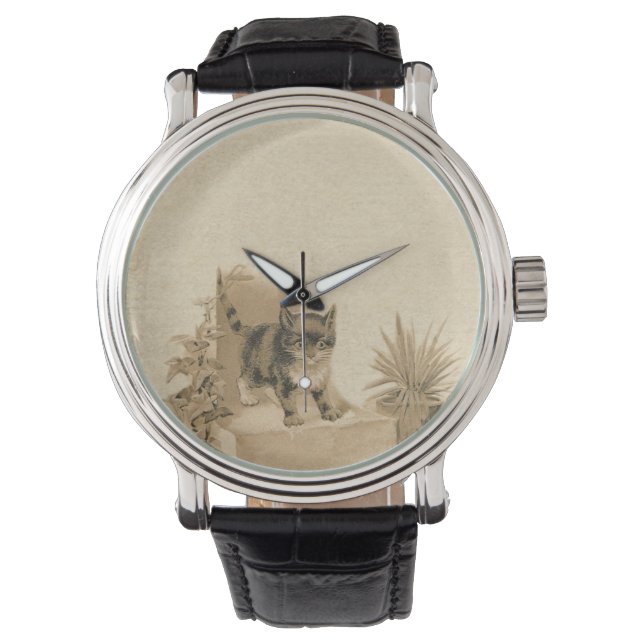Montre Carte française d'antiquité avec dessin de chat Vi (devant)