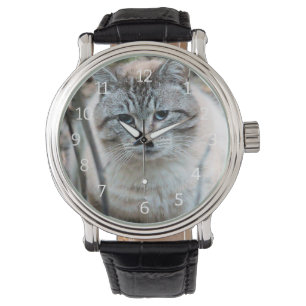 Montre Cat