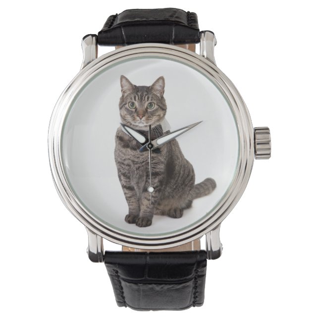 Montre Cat à Tuxedo (devant)