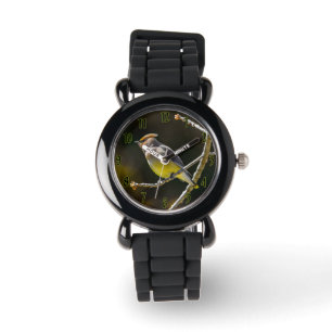 Montre Cèdre cire Songbird Photo originale Oiseau sauvage