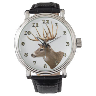 Montre Cerfs communs de mâle de mâle