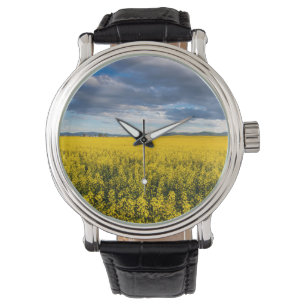 Montre Champ de canola dans la lumière du soir
