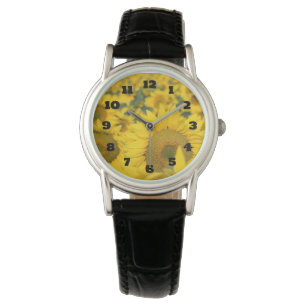 Montre Champ jaune de tournesols photo