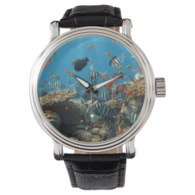 Montre Chaos de la pêche tropicale (devant)