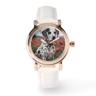 Montre Charmant Chien De Dalmation Dans Le Champ De Pavot