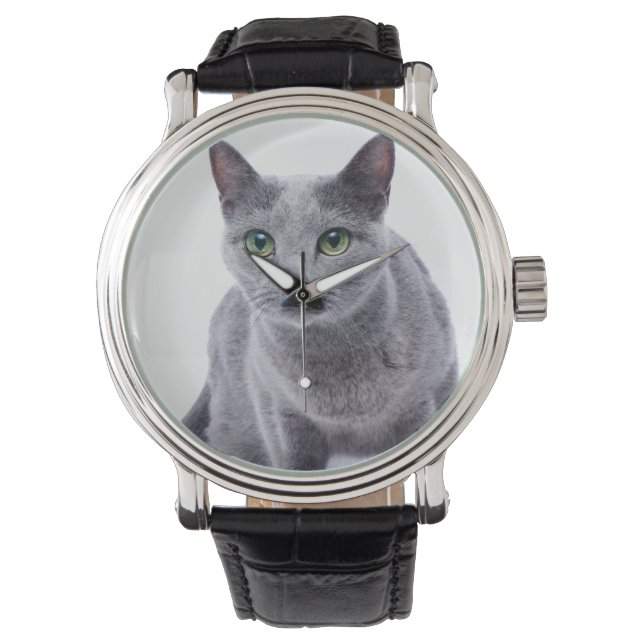Montre Chat bleu russe (devant)