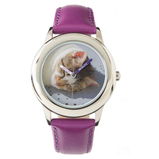 Montre Chat dormant dans un jardin (devant)