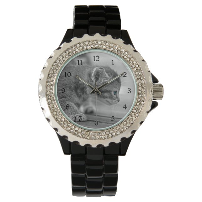 Montre Chaton de acroupissement (devant)