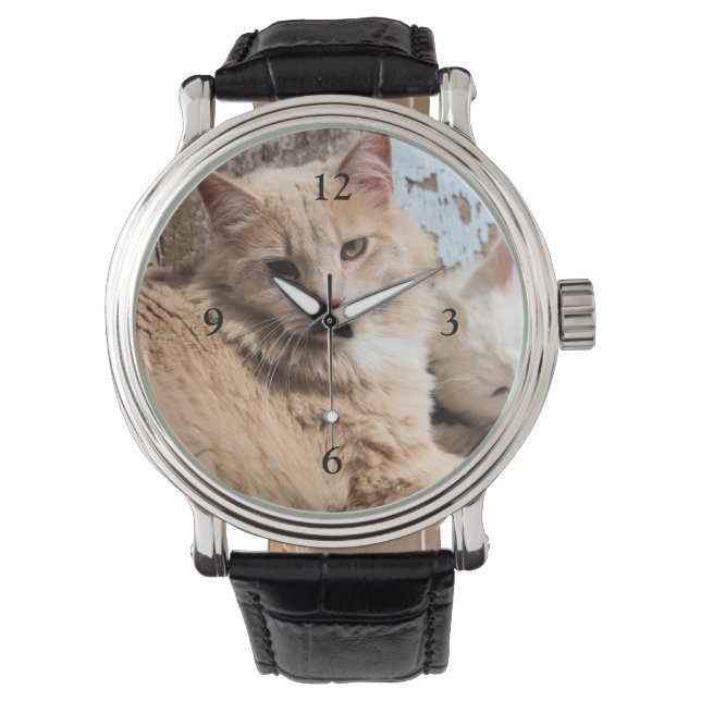 Montre Chats (devant)