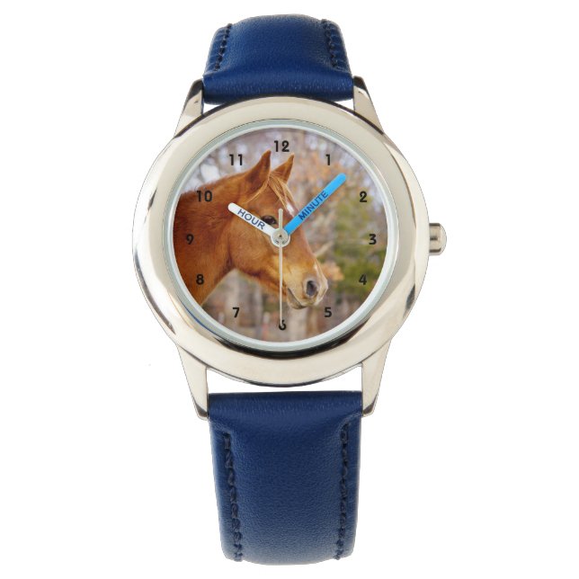 Montre Cheval de Châtaignes (devant)