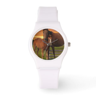 Montre Cheval et poney