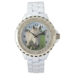Montre Cheval quart gris sur le conseil blanchi