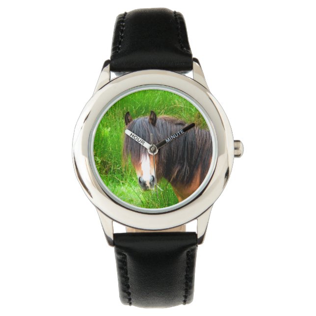 MONTRE CHEVAUX (devant)
