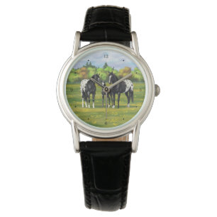 Montre Chevaux Appaloosa Noir Dans Les Pâturages D'Été