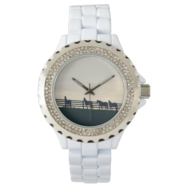 Montre Chevaux équestres à la clôture du pâturage (devant)