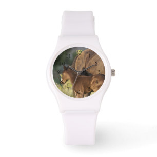 Montre Chevaux sauvages au parc national de Theodore