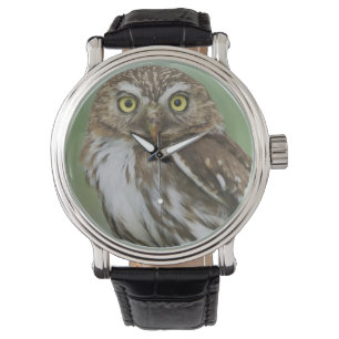 Montre Chevêche ferrugineuse, Glaucidium brasilianum, 3