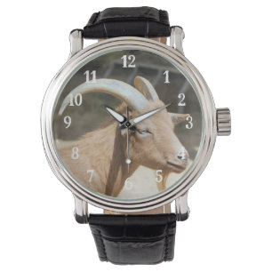 Montre Chèvre