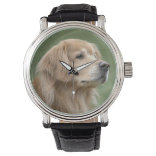 Montre Chien beau de golden retriever en plan rapproché