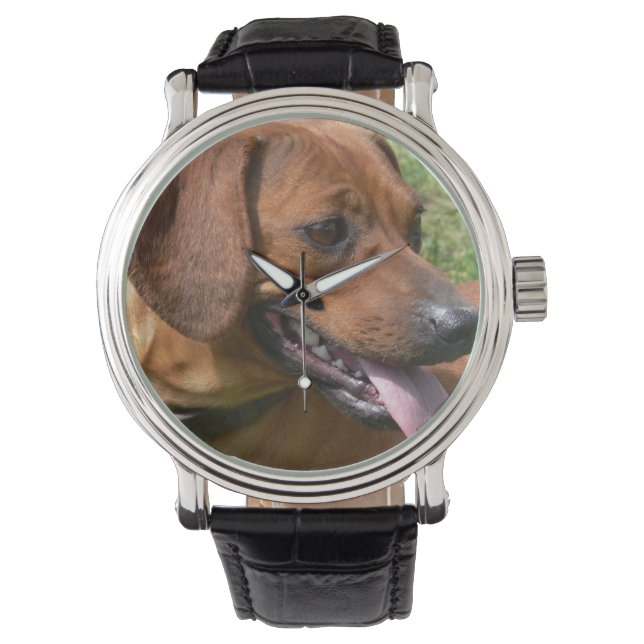 Montre Chien Daschund (devant)