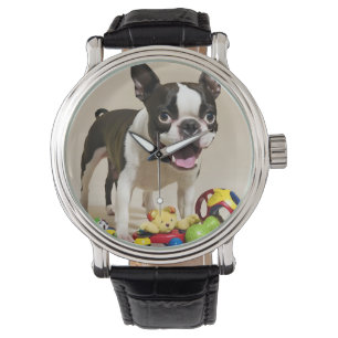 Montre Chien de Boston Terrier jouant avec des jouets