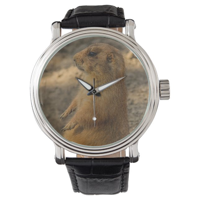 Montre Chien des Prairies (devant)