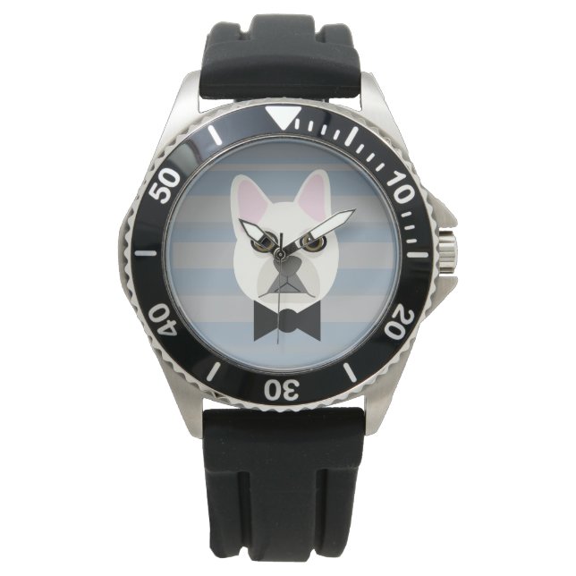 Montre Chien-taureau français blanc, Grandes (devant)